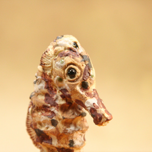 タッちゃん（タツノオトシゴ・辰）（茶）・陶芸作品 置物（陶 動物