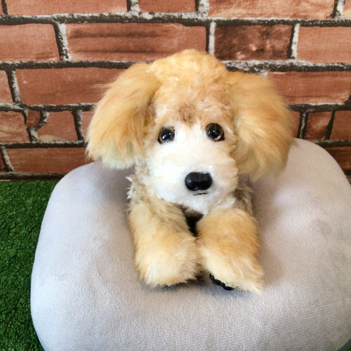 ぬいぐるみオーダーメイド トイプードル 犬 猫 ペット トイプードル クッション ぬいぐるみ インテリア