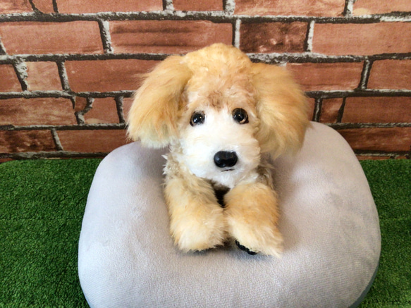 Puppies様 オーダー品 パピー様専用ページ 犬服ハンドメイドさぁや様