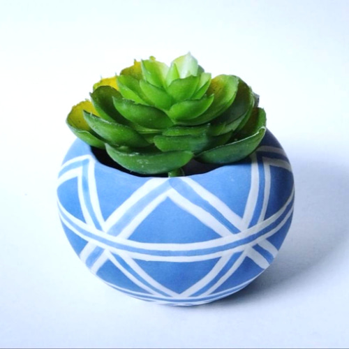 多肉植物 青緑色陶器鉢付き*4 多肉植物 青緑色陶器鉢付き*4 3号鉢】植物が喜ぶ植木鉢