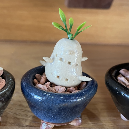 陶土で作ったパキポディウムの飾りもの パキポ 多肉植物 観葉