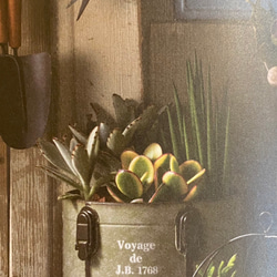 《新作 可愛いブリキ鉢 》ヴォワヤージポット Xmasの飾り付け/お花の寄せ植えに ガーデニング アンティーク 408 2枚目の画像