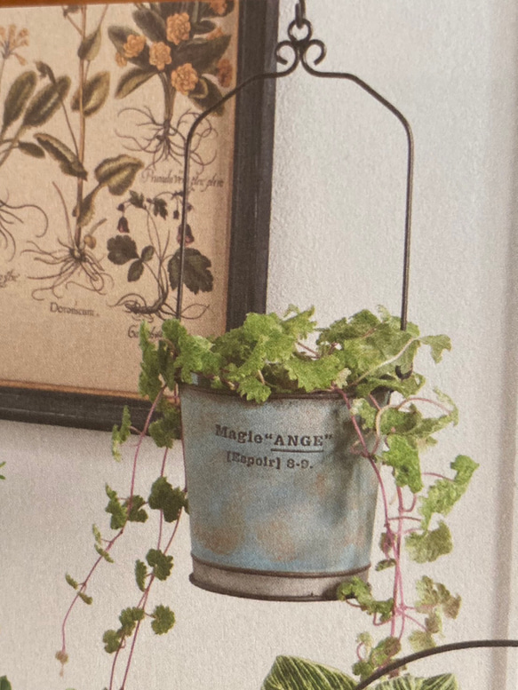 《新作 可愛いブリキ鉢》 アンジュラウンドハング Xmas飾り付け/お花の寄せ植えに ガーデニング アンティーク 418 2枚目の画像