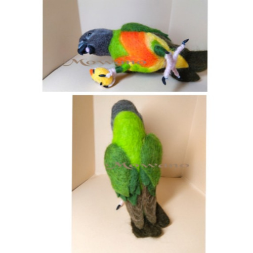 【羊毛フェルト】セネガルパロット　鳥 セネガルパロット☆金目☆ボールのおもちゃ ☆羊毛フェルト