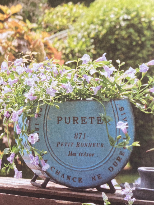 《新作 可愛いブリキ鉢 》プリュテスタンド Xmasの飾り付け/お花の寄せ植えに ガーデニング アンティーク 425 2枚目の画像