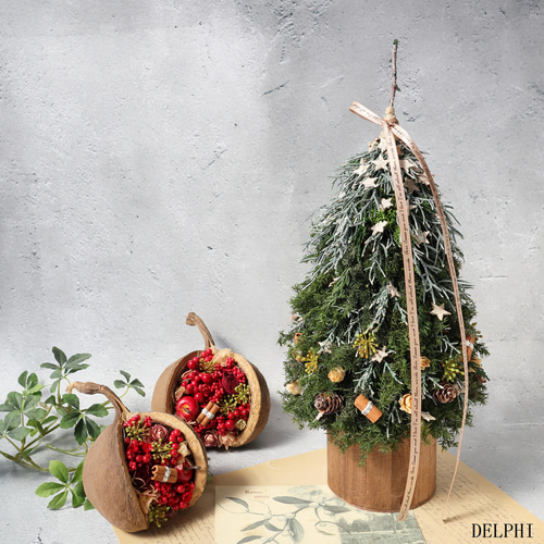 星降る森のクリスマス ☆絵画 軽井沢：軽井沢高原教会【星降る森の