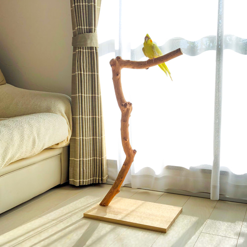 流木の止まり木】高さ約73cm！鳥 中型、大型インコにおすすめ