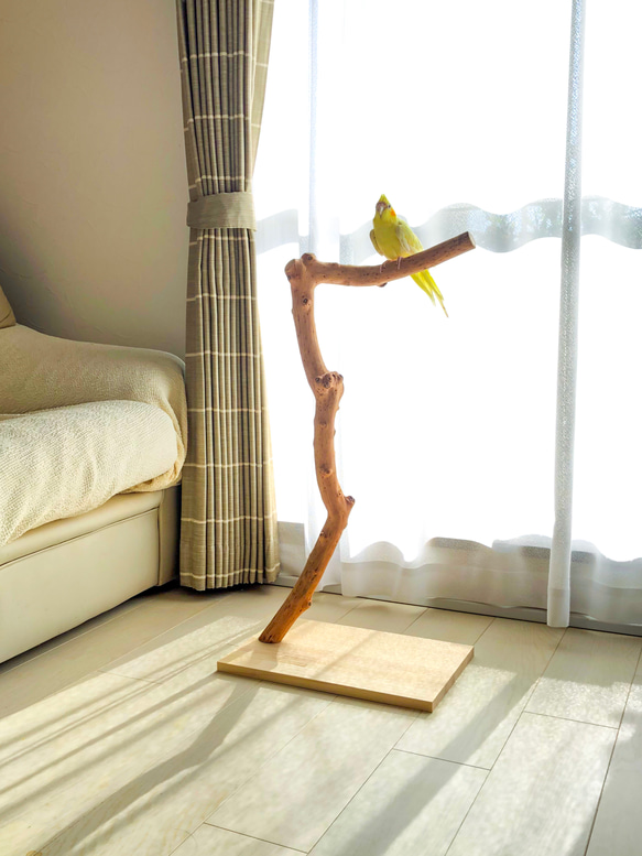流木の止まり木】高さ約73cm！鳥 中型、大型インコにおすすめ
