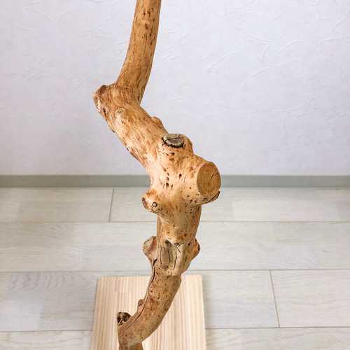 流木の止まり木】高さ約73cm!鳥 中型、大型インコにおすすめ 流木の止まり木】高さ約73cm!鳥 中型、大型インコにおすすめ