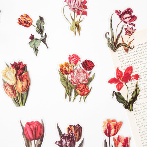 お花のフレークシール　30枚　tulip fragrance　[AY363] 2枚目の画像
