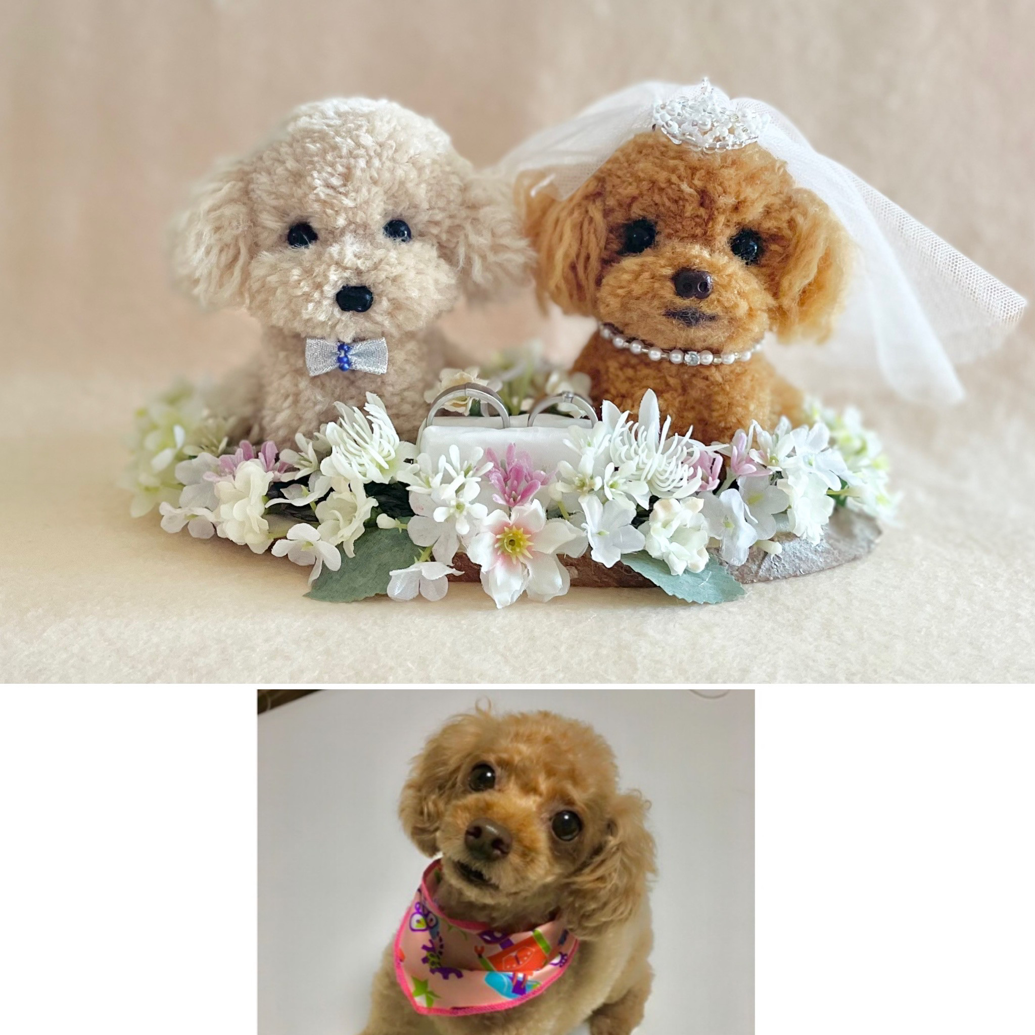 犬ぽんぽん オーダー 募集♡数名様募集させて頂きます。（継続受付中 