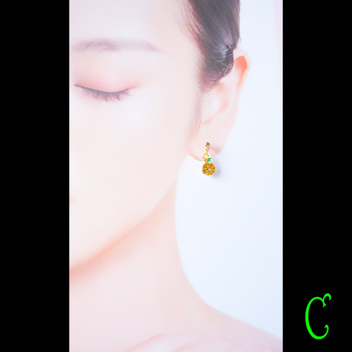 りんごピアス11点+おまけ3点 りんごピアス11点+おまけ3点 りんごピアス11点+おまけ3点