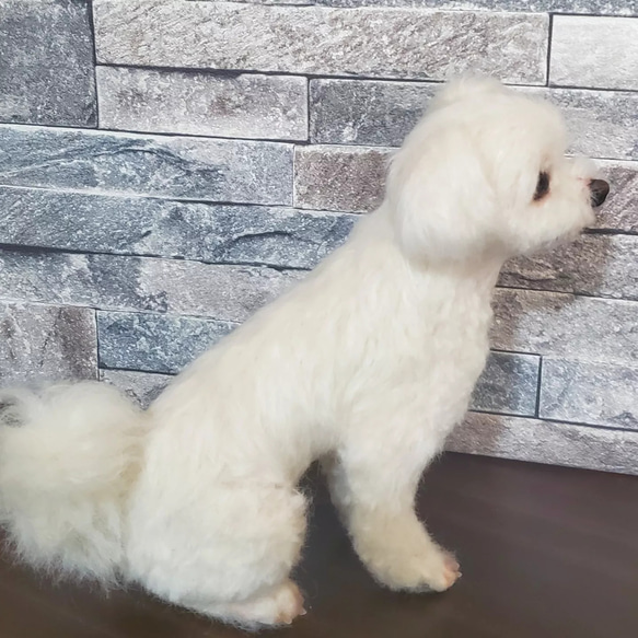 羊毛フェルトオーダーメイド、受注制作、羊毛フェルト犬、ペットロス その他人形 R2457096661(18720円)