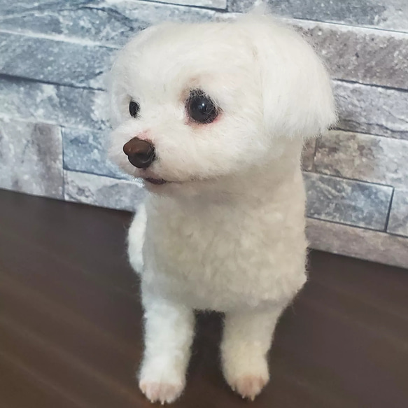 羊毛フェルトオーダーメイド、受注制作、羊毛フェルト犬、ペットロス その他人形 R2457096661(18720円)