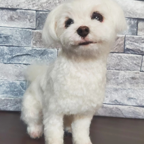 羊毛フェルトオーダーメイド、受注制作、羊毛フェルト犬、ペット