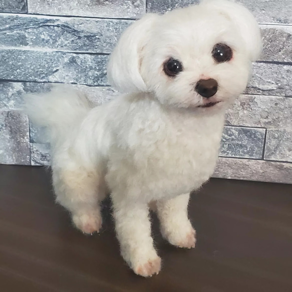 羊毛フェルトオーダーメイド、受注制作、羊毛フェルト犬、ペットロス その他人形 R2457096661(18720円)