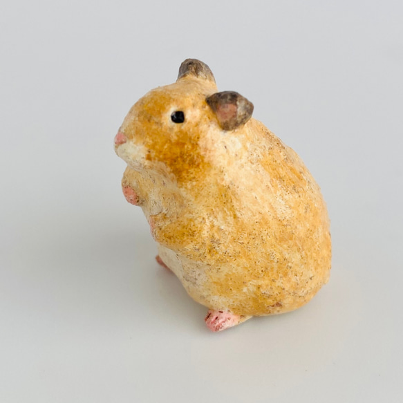 キンクマハムスター（kink bear hamster） 5枚目の画像