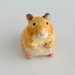 キンクマハムスター（kink bear hamster） 4枚目の画像