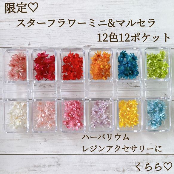 ハーバリウムボールペン レジン アクセサリー 花材 スター
