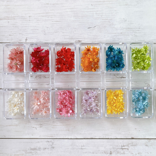 ハーバリウムボールペン　レジン アクセサリー 花材 スターフラワーミニ　オーダー ハーバリウムボールペン レジン アクセサリー 花材 スター