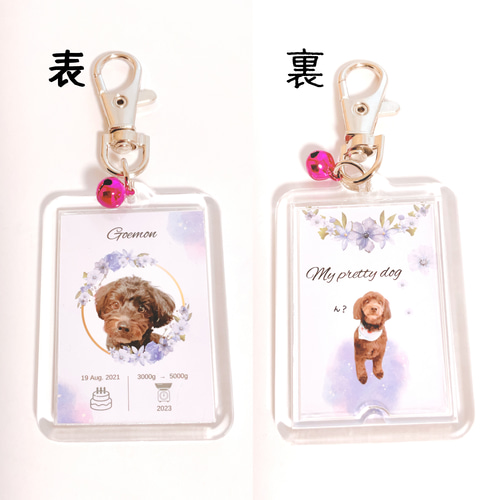 キーホルダーをこのショットでお願い致します みぐすり』【今だけ】チャーム無料！zenの飛び出すうちの子