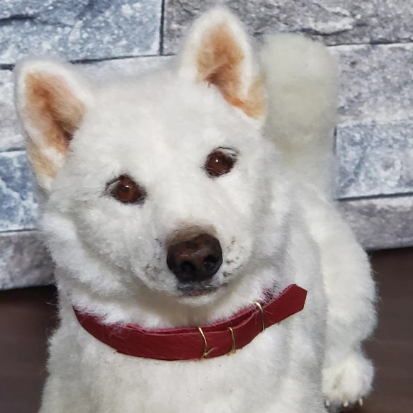 羊毛フェルトオーダーメイド、受注制作、羊毛フェルト犬、ペットロス 