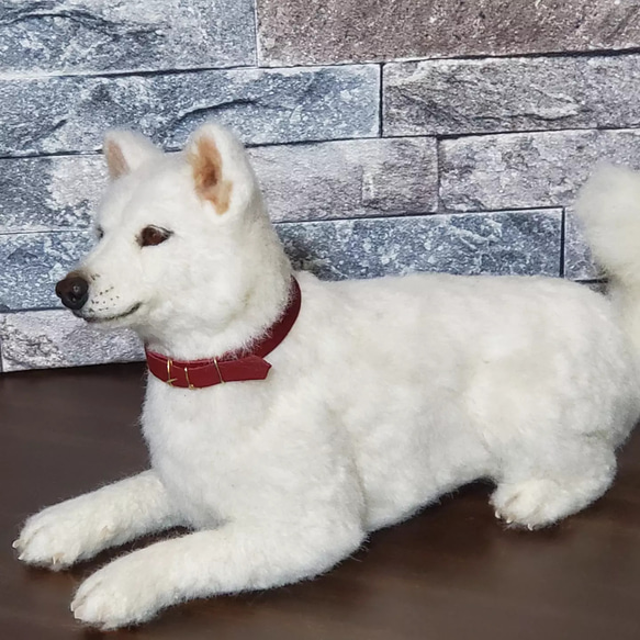 羊毛フェルトオーダーメイド、受注制作、羊毛フェルト犬、ペットロス 