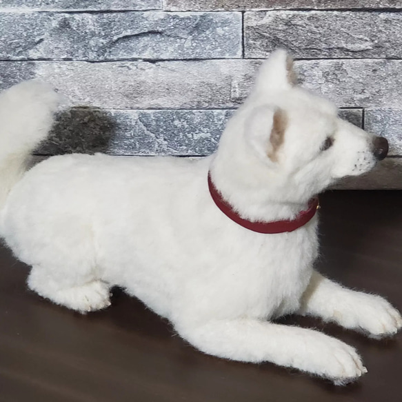 羊毛フェルトオーダーメイド、受注制作、羊毛フェルト犬、ペットロス 