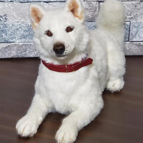 羊毛フェルトオーダーメイド、受注制作、羊毛フェルト犬、ペットロス 