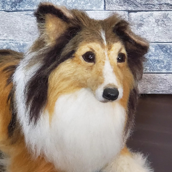 羊毛フェルトオーダーメイド、受注制作、羊毛フェルト犬、ペ