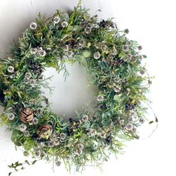 早割】深い森のリース 直径24cm クリスマスリース ドライフラワー