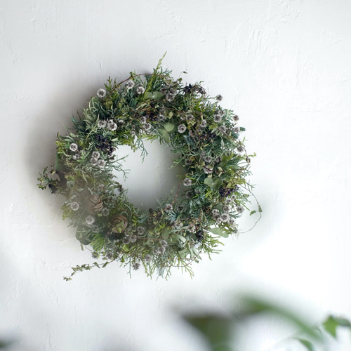 早割】深い森のリース 直径24cm クリスマスリース ドライフラワー