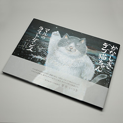 絵本 「かなしきデブ猫ちゃん マルのラストダンス」 第三弾 絵本作家 かのうかりん karin-book-cat3 1枚目の画像