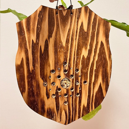 板付 森の王冠！大人気の大型種 ビカクシダ グランデ 壁掛け 観葉植物