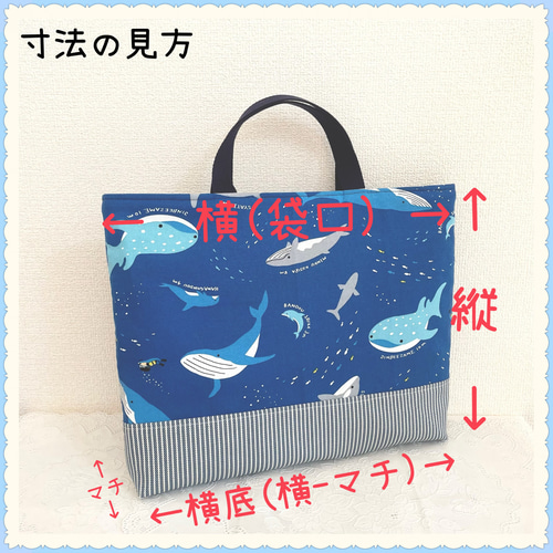 入園 入学 用品☆ レッスンバッグ オーダー 受注注文 受付中