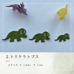 　恐竜　ワッペン (小サイズ) アイロン接着　<全8種類> きょうりゅう 3枚目の画像