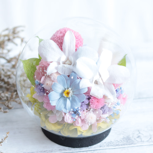 固まるハーバリウムフラワードームラベンダーローズプリザーブドフラワー