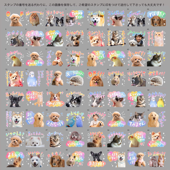 オリジナルLINEスタンプ｜64種類から選べる｜水彩｜レインボー｜ペット｜犬｜猫｜corinco 8枚目の画像