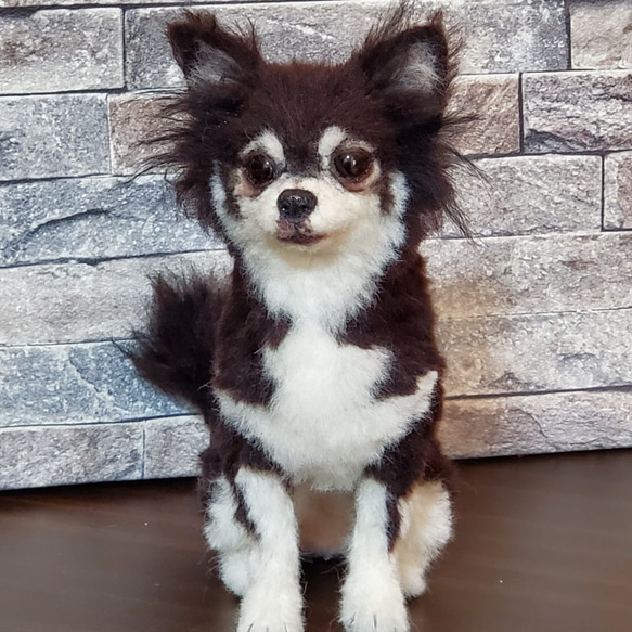 羊毛フェルトオーダーメイド、受注制作、羊毛フェルト犬、ペットロス S3133838699(24000円)