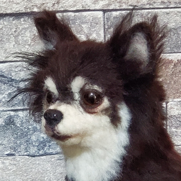 羊毛フェルトオーダーメイド、受注制作、羊毛フェルト犬、ペットロス S3133838699(24000円)