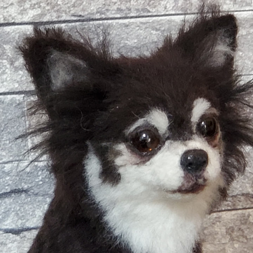 羊毛フェルトオーダーメイド、受注制作、羊毛フェルト犬、ペットロス