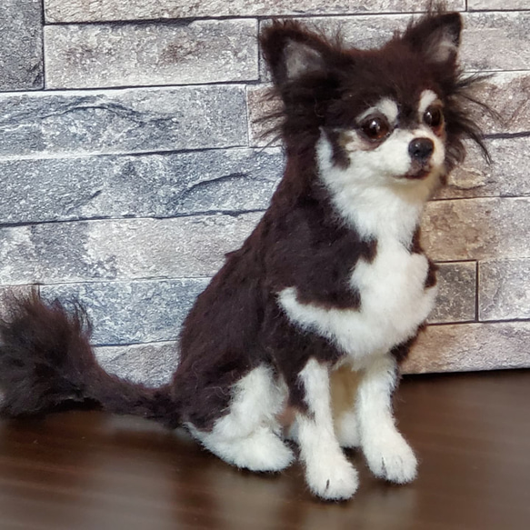 羊毛フェルトオーダーメイド、受注制作、羊毛フェルト犬、ペットロス S3133838699(24000円)