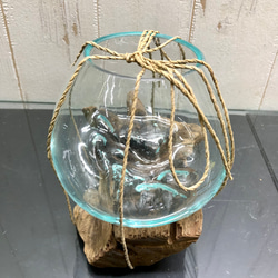 金魚鉢 アクアリウム 水草 インドネシア バリ島 流木ガラス   3 4枚目の画像