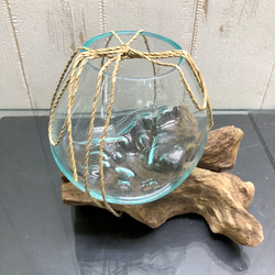 金魚鉢 アクアリウム 水草 インドネシア バリ島 流木ガラス   3 1枚目の画像