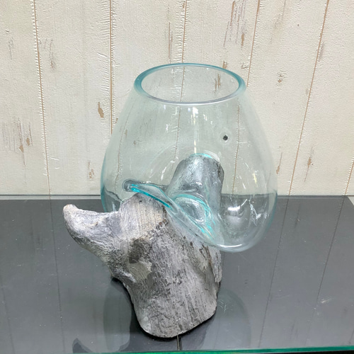 金魚鉢 アクアリウム 水草 インドネシア バリ島 流木ガラス