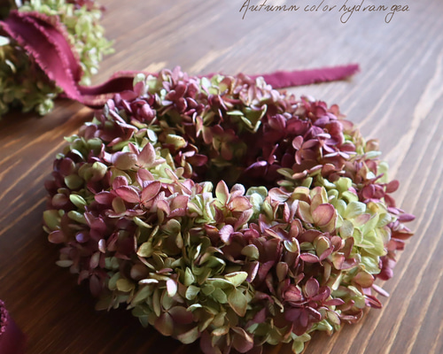 1.秋色水無月オーバルリース 楽天市場】アジサイ・秋色ミナヅキのリース/ドライフラワー