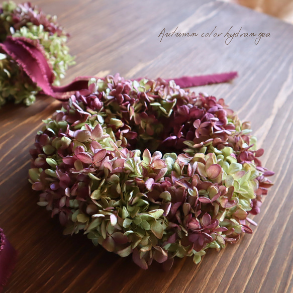 最高級秋色みなづきのリース ドライフラワー MOOI -dried flower- 通販