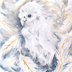 アート原画：「羽渦」キャンバス木枠/油絵/動物/鳥 1枚目の画像