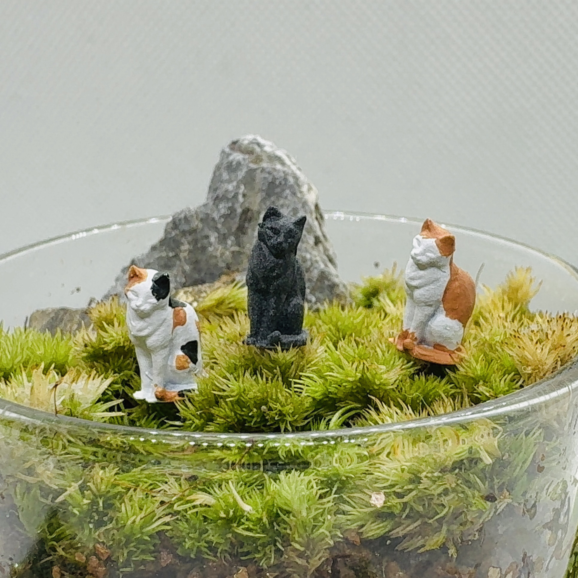 ネコと小物❤️インテリア置物❤️苔テラリウム