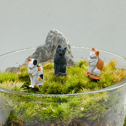 ネコと小物❤️インテリア置物❤️苔テラリウム 苔テラリウムフィギュア 猫 3匹セット その他置物 まりも工房 通販